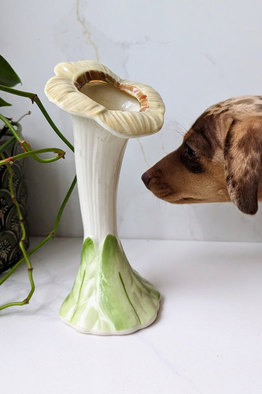 belleek flower jack in the pulpit vase with green leaf base