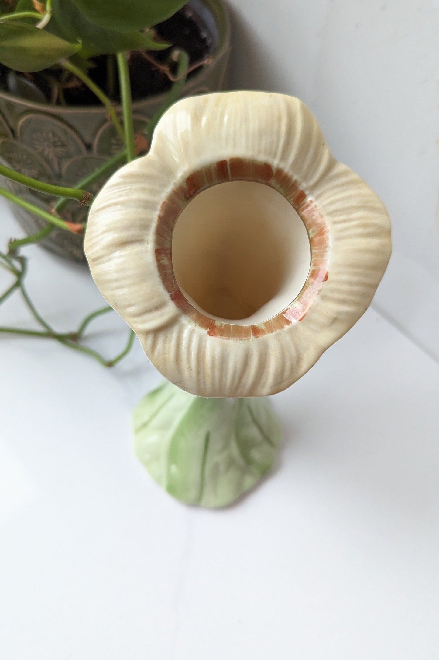 top of belleek flower jack in the pulpit vase with green leaf base