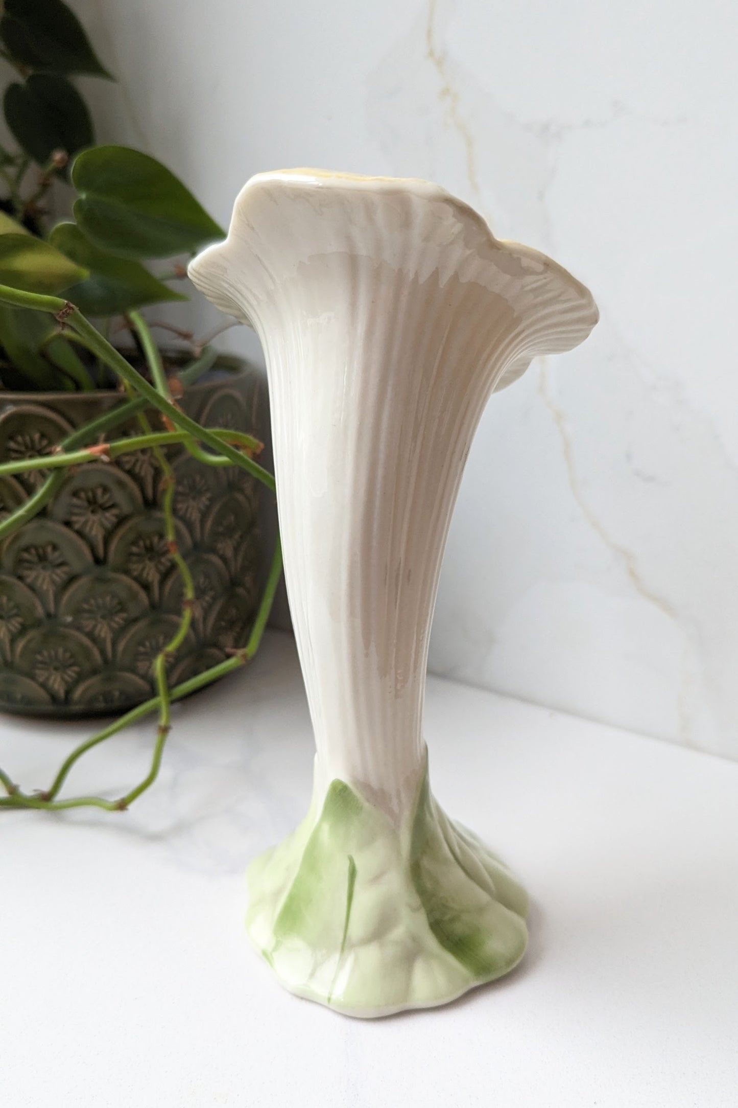 back of belleek flower jack in the pulpit vase with green leaf base