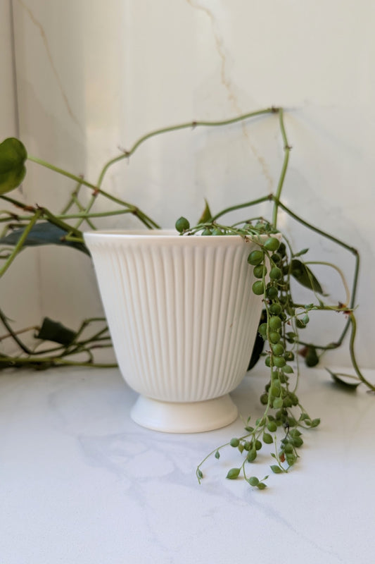 1950s Wedgewood Etruia and Barlaston Planter Pot or Vase