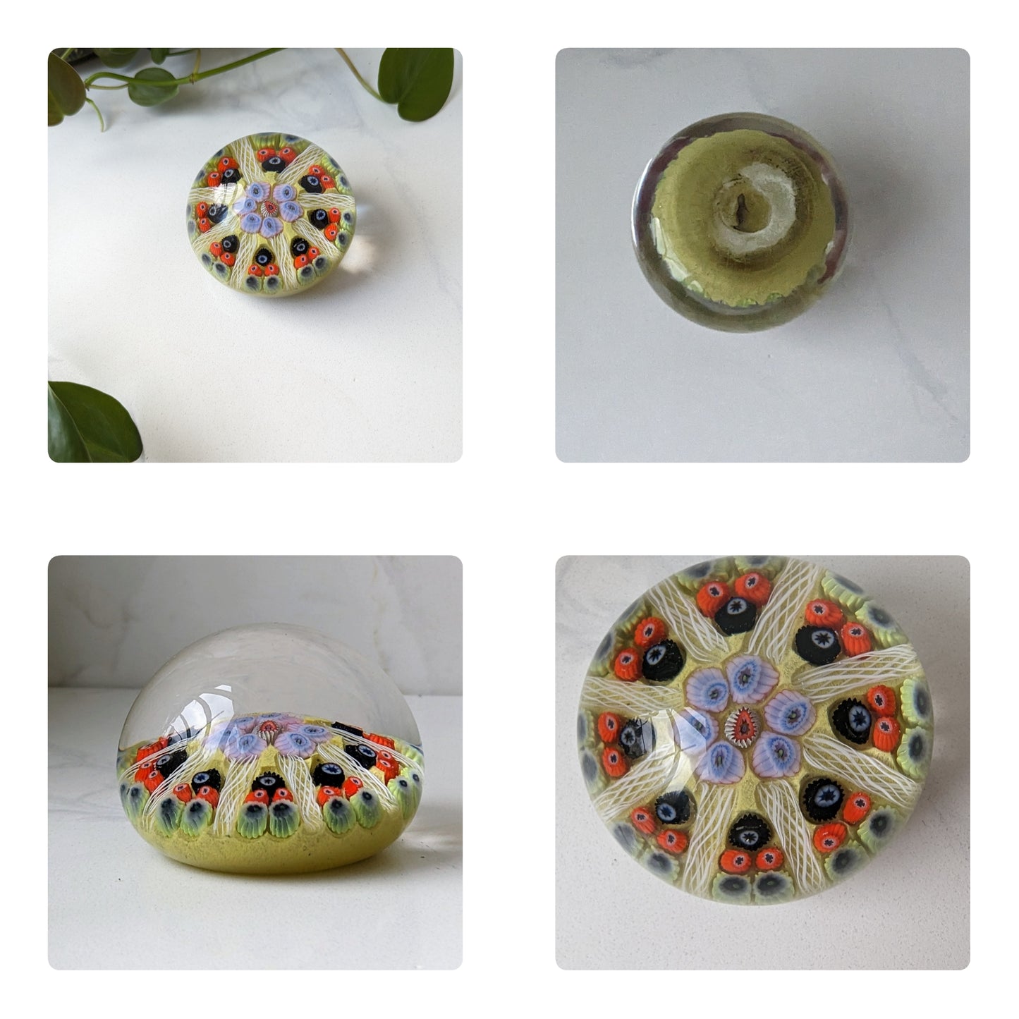 Vintage 1950s Murano Millefiori and Other Glass Paperweights