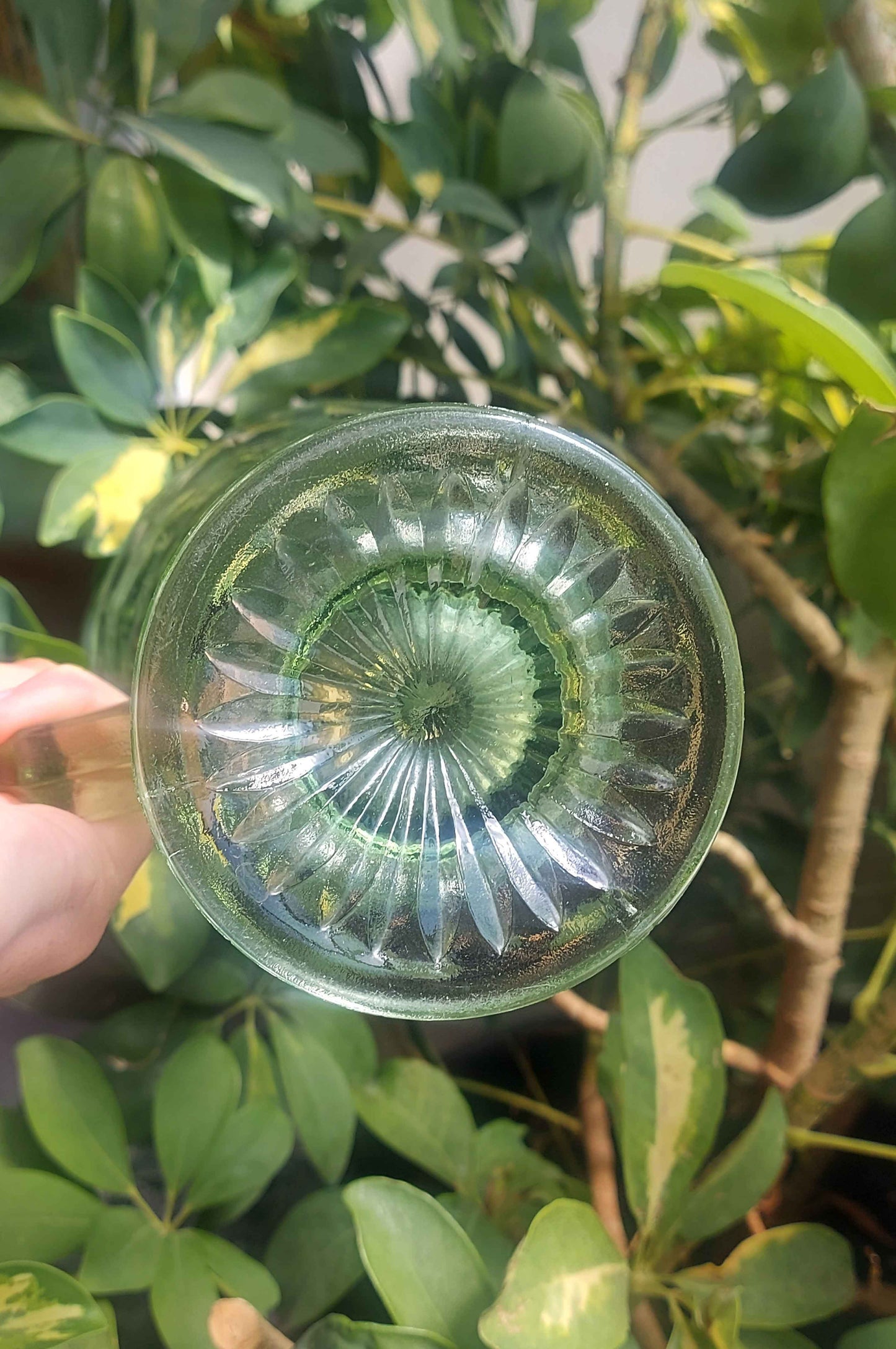 ART DECO vintage water jug