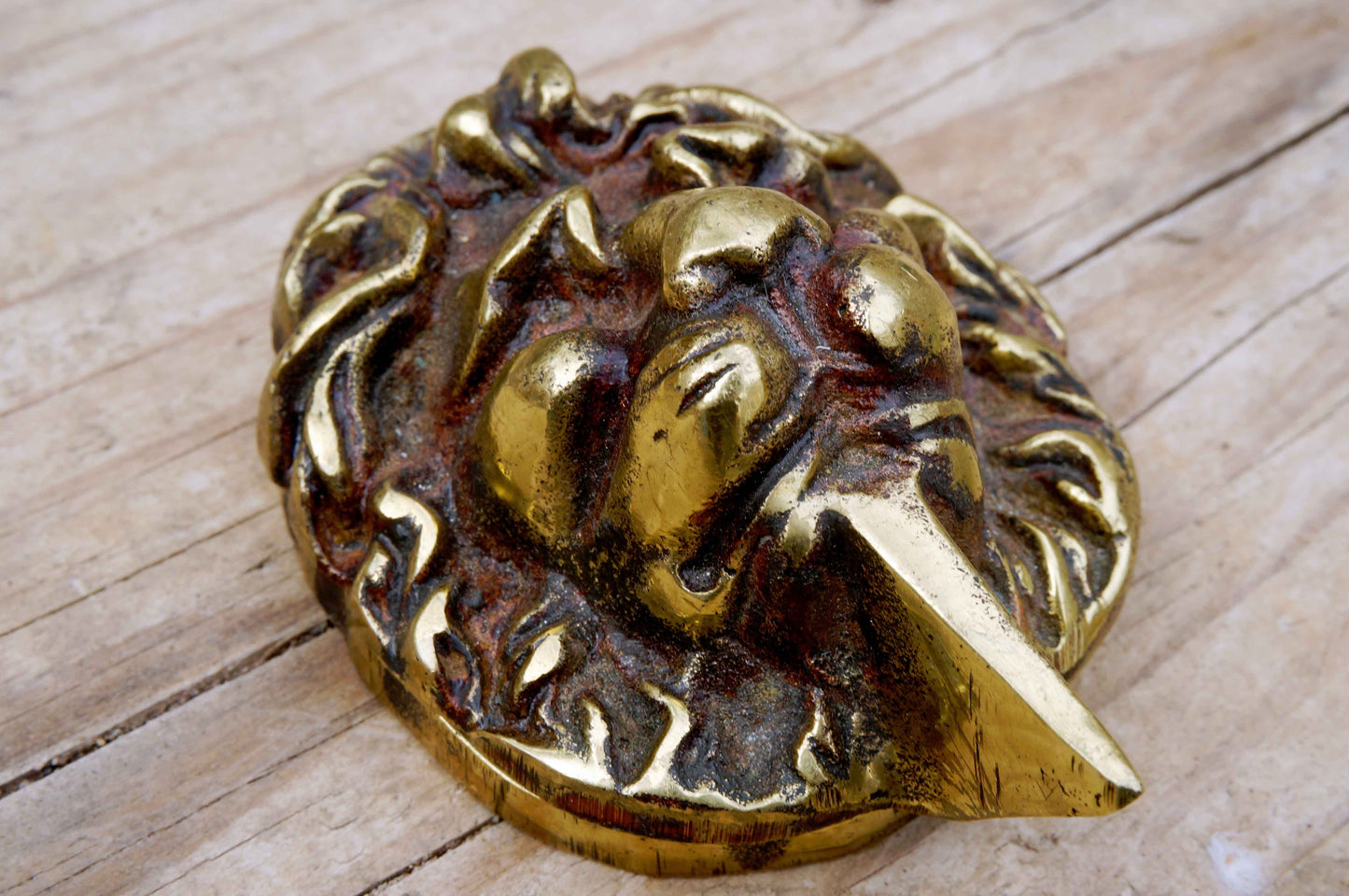 Brass Lion Escutcheon Key Cover