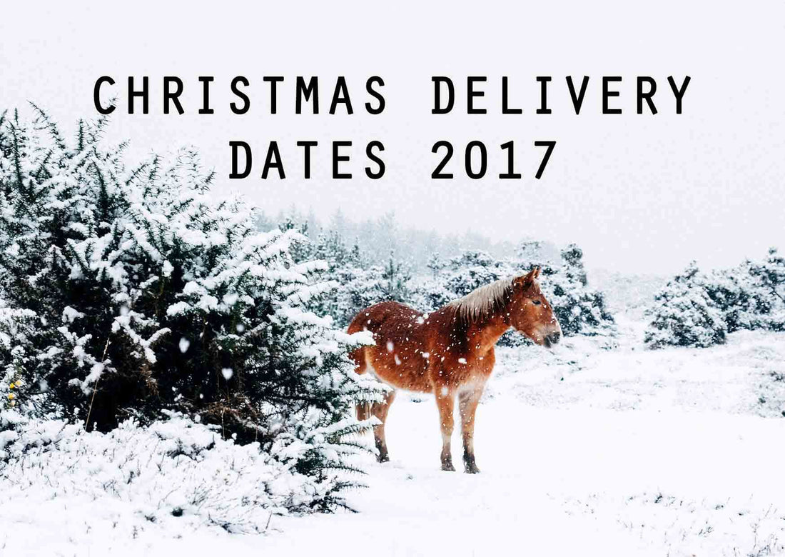 Christmas Delivery Dates 2017