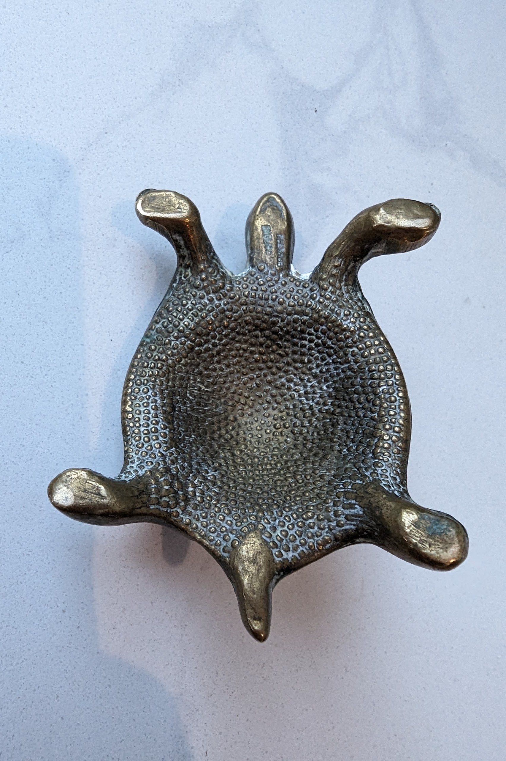 solid brass tortoise