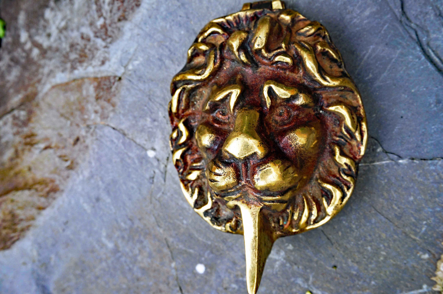Brass Lion Escutcheon Key Cover